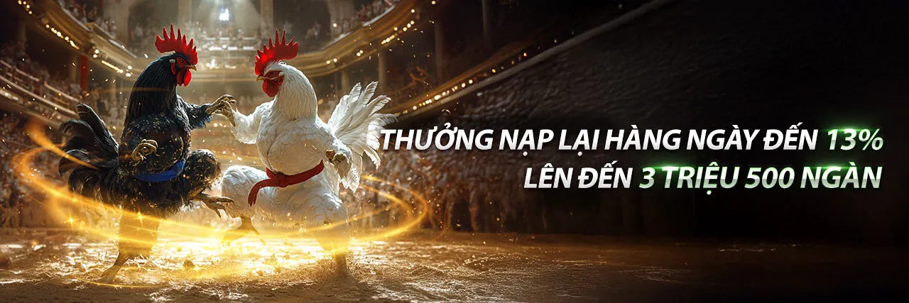 Đá Gà Thomo Hôm Nay Trực Tiếp