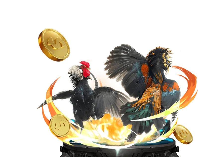 Cá cược thể thao okwin